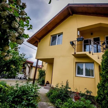 Casa Ana Villa Călimăneşti Bagian luar foto