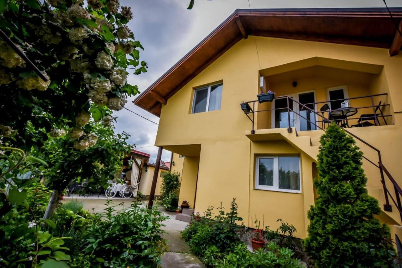 Casa Ana Villa Călimăneşti Bagian luar foto