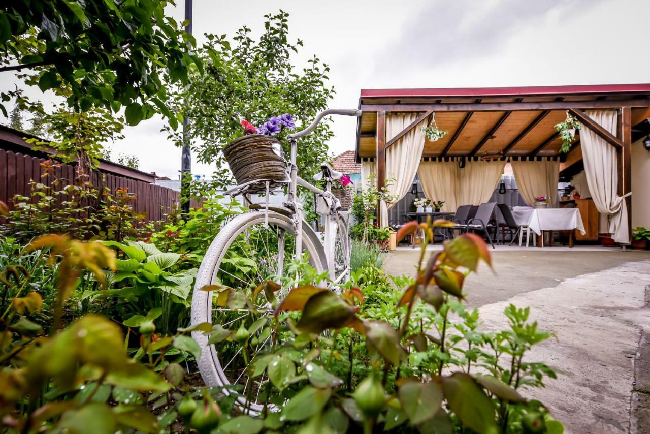 Casa Ana Villa Călimăneşti Bagian luar foto